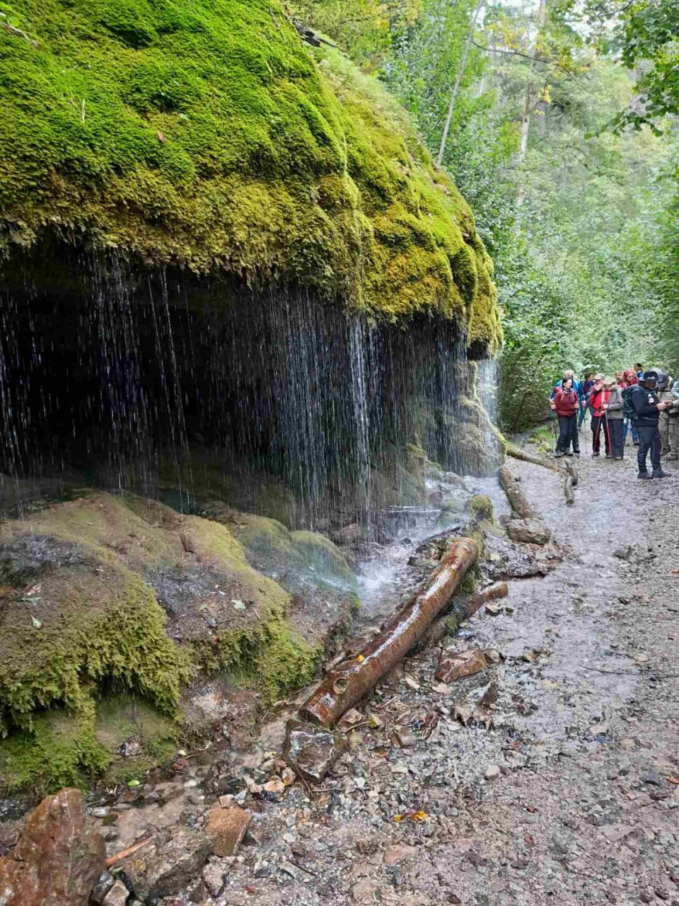 	14 3 Tage auf dem Schluchtensteig im Südschwarzwald